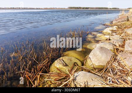 Detaillierte Aussicht auf das Seeufer mit Felsen und trockenem Schilf unter dünnem, schmelzendem Eis. Natürliche Textur und Muster von Frühlingsauftauen, sauberem Wasser und ökologischem Co Stockfoto