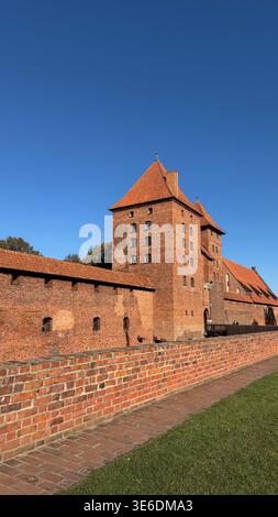 Schloss Malbork in Polen aus rotem Backstein mit Turm und befestigten Mauern unter klarem blauem Himmel von Grasfläche und Weg aus gesehen. Architektur, seine Stockfoto