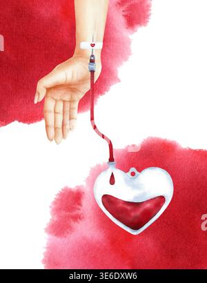 Handgemalte medizinische Illustration der menschlichen Hand mit intravenösem Katheter, die Blut in einen herzförmigen Spenderbeutel ableitet. Isoliert vom Hintergrund mit Stockfoto