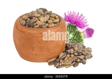 Samen einer Mariendistel oder Silybum marianum, Scotch Thistle, Mariendistel in Holzschale isoliert auf weißem Hintergrund Stockfoto