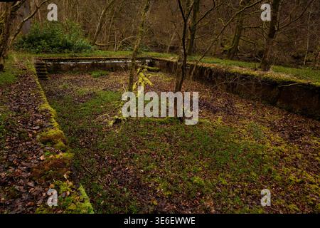 Verfallener Swimmingpool in Irthing Wood in der Nähe des GIsland Hall Hotels in Cumbria, Großbritannien Stockfoto