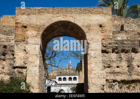 royal alcazar, sevilla Stockfoto