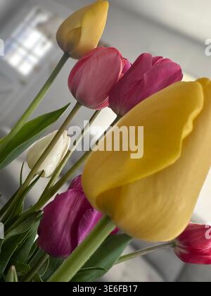 Tulpen in einer Vase Stockfoto