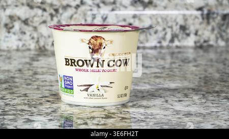 NORWALK, CT, USA - 25. NOVEMBER 2024: Eine Tasse Vollmilchjoghurt mit Vanillegeschmack von Brown Cow sitzt auf einer polierten Granitoberfläche und zeigt seine Stockfoto