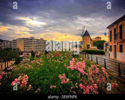 Palma de Mallorca, Mallorca, Spanien, September 2018 Stockfoto