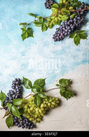 Stillleben verschiedener Weinsorten mit Blättern. Draufsicht Stockfoto