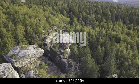 Herrlicher Blick auf die Berglandschaft am sonnigen Sommertag. Clip. Grüne Hügel bedeckten Gras und Blumen gegen Berge. Landschaft mit lebendiger Natur Stockfoto