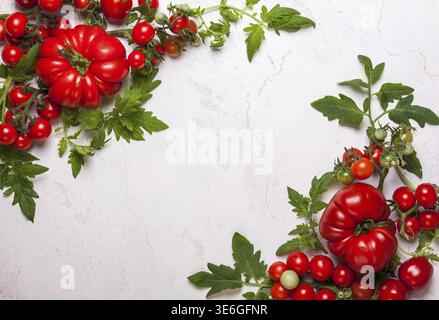 Verschiedene frische Tomaten mit grünen Blättern. Draufsicht Stockfoto