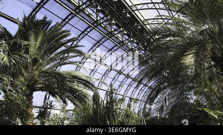 Wunderschönes grünes Arboretum im Park mit großen Glasfenstern und verschiedenen Pflanzen. Gewächshaus mit Kakteen, Palmen und anderem Grün am blauen Himmel Stockfoto