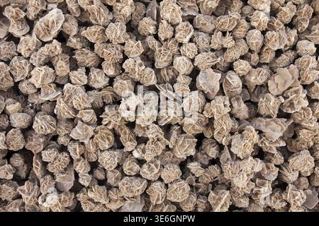 Wüste Rosen Textur, Nahaufnahme Stockfoto