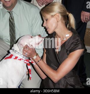 GARDEN CITY, NY - 11. JUNI: (EXKLUSIVE BERICHTERSTATTUNG) die Sprecherin der North Shore Animal League, Beth Ostrosky (Freundin von Howard Stern), teilt einen Kuss mit einem Hund beim 7. Jährlichen Mittagessen der North Shore Animal League America's Lewyt Humane Awards am 11. Juni 2008 im Garden City Hotel in Garden City, New York. Leute: Beth Ostrosky Stockfoto