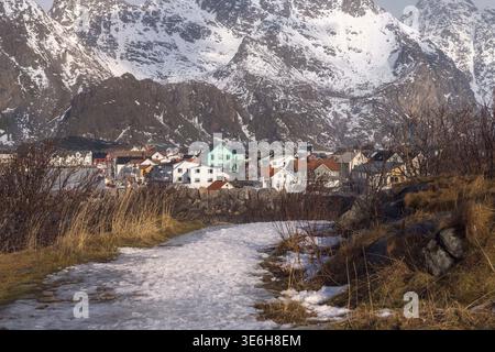 Eine ruhige Winterszene in Henningsvaer, Norwegen, zeigt einen schneebedeckten Pfad, der sich durch braune Gräser schlängelt und zu einem malerischen Dorf führt. Der Colo Stockfoto