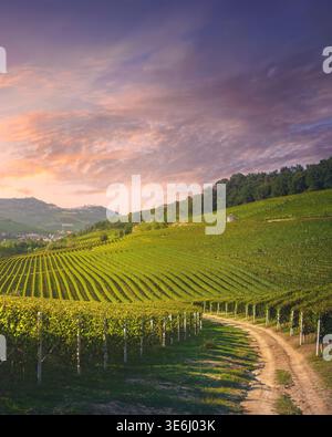 Malerischer Pfad, der sich durch die sanften Weinberge von Barolo in Langhe, Piemont, Italien schlängelt. Das historische Dorf La Morra ist auf dem Hügel zu sehen. Stockfoto