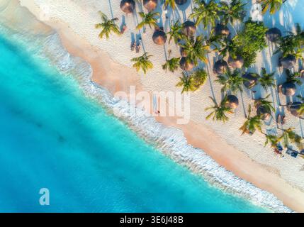 Luftaufnahme von Sonnenschirmen, Palmen am Sandstrand Stockfoto
