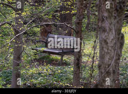 Ruhige Szene in einem öffentlichen Park Stockfoto
