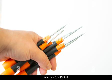 Schraubendrehersatz mit verschiedenen Köpfen Stockfoto