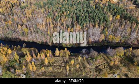 Drohnenblick auf den schmalen Fluss, der sich durch den goldenen estnischen Herbstwald schlängelt Stockfoto