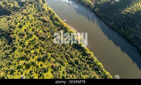 Aus der Vogelperspektive zeigt den Fluss, der die üppige Vegetation von den Kulturfeldern in spanien trennt Stockfoto