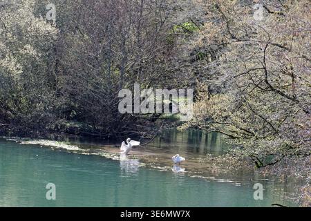 Rocamadour, Frankreich. März 2026. Die bukolische Landschaft von Los. Foto: Emilie Momesso/Alamy Stock Photo Stockfoto