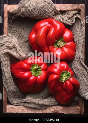 Rote Paprika in Holzkiste mit Leinentuch. Bio-Ernte, rustikales Küchendesign Stockfoto
