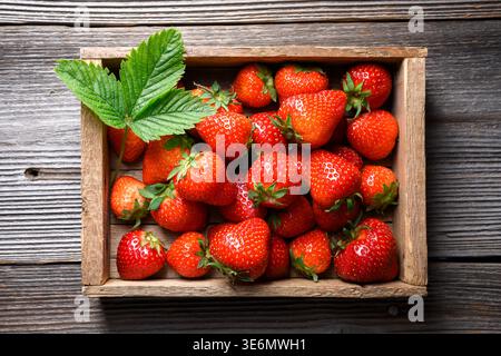Reife rote Erdbeeren in Holzkiste auf Vintage-Holzoberfläche gestapelt. Frische saisonale Beeren mit Samen und grünen Spitzen, Thema vom Bauernhof bis zum Tisch. Draufsicht, flach Stockfoto