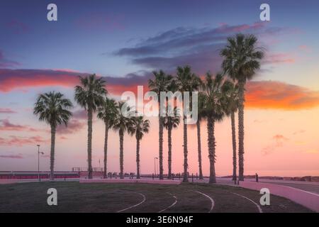 Landschaft bei Sonnenuntergang mit Palmen Silhouetten an der Küste von Santo Stefano al Mare. Farbenfroher Himmel über der Riviera dei Fiori, Imperia, Ligurien, Ital Stockfoto