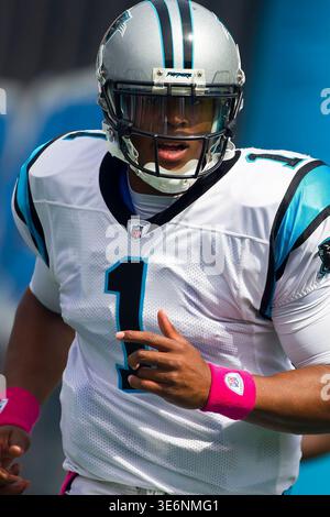 CHARLOTTE, NC - 09. Oktober 2010: Carolina Panthers Quarterback, Cam Newton, spielt im Bank of America Stadium in Charlotte, NC gegen die New Orleans Saints. Stockfoto