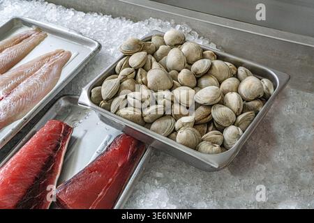 Frische Meeresfrüchte, Rozzo's Fish Market, 159 9th Avenue, Manhattan, New York City, New York, USA Stockfoto