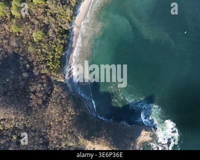 Wellen krachen auf den Sandstrand, während Bäume den Rand des Wassers säumen. Bei klarem Wetter scheint die Sonne an der Küste. Stockfoto
