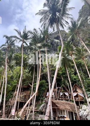Kokospalmen und einfache Strandhütten an einer tropischen Inselküste in El Nido, Palawan, Philippinen. Stockfoto