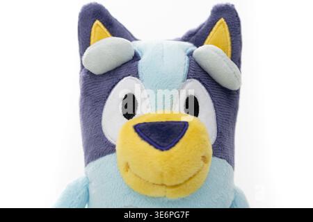 Bluey Soft Toy, basierend auf der australischen Fernsehserie über eine Familie von Blue Heeler, australischen Rinderhunden Stockfoto
