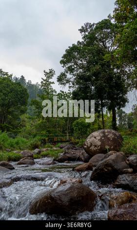 Ein malerischer Blick auf einen frischen Bergbach, der über glatte Felsen durch einen üppigen grünen tropischen Wald fließt, mit einer kleinen Brücke im Hintergrund. Stockfoto
