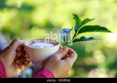 Cappuccino Tasse Kaffee und grün hinterlässt Kaffee in ihren Händen Natur Hintergründe. Am Morgen Stockfoto