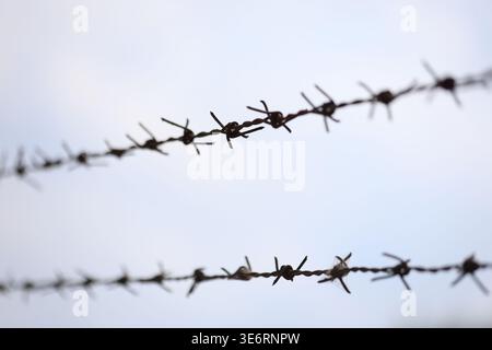 Nahaufnahme von Stacheldraht Stockfoto