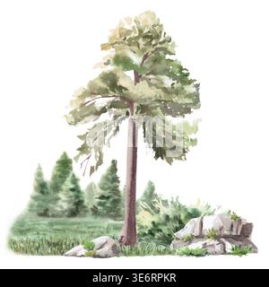 Landschaft mit Kiefern und einem Nadelwald im Hintergrund. Isolierte Aquarellillustration für Websites über Natur, Ökologie, Landschaft Stockfoto