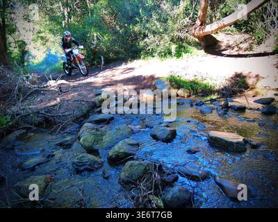 Geländegängige Enduro-Motorradfahrer fahren mit einem KTM-Dirt-Bike durch Waldwege und schlammiges Gelände in Jeffreys Bay. Südafrika Stockfoto