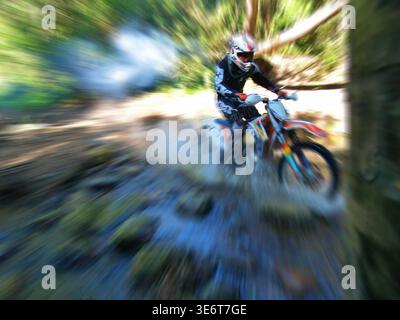 Geländegängige Enduro-Motorradfahrer fahren mit einem KTM-Dirt-Bike durch Waldwege und schlammiges Gelände in Jeffreys Bay. Südafrika Stockfoto