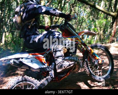 Geländegängige Enduro-Motorradfahrer fahren mit einem KTM-Dirt-Bike durch Waldwege und schlammiges Gelände in Jeffreys Bay. Südafrika Stockfoto