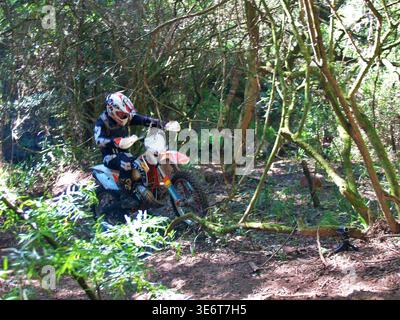 Geländegängige Enduro-Motorradfahrer fahren mit einem KTM-Dirt-Bike durch Waldwege und schlammiges Gelände in Jeffreys Bay. Südafrika Stockfoto