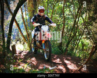 Geländegängige Enduro-Motorradfahrer fahren mit einem KTM-Dirt-Bike durch Waldwege und schlammiges Gelände in Jeffreys Bay. Südafrika Stockfoto