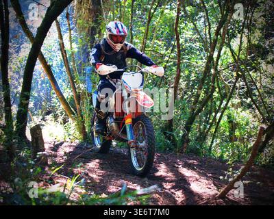 Geländegängige Enduro-Motorradfahrer fahren mit einem KTM-Dirt-Bike durch Waldwege und schlammiges Gelände in Jeffreys Bay. Südafrika Stockfoto
