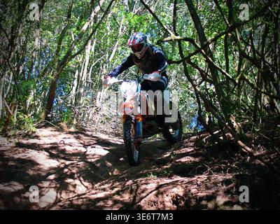 Geländegängige Enduro-Motorradfahrer fahren mit einem KTM-Dirt-Bike durch Waldwege und schlammiges Gelände in Jeffreys Bay. Südafrika Stockfoto