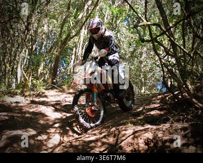 Geländegängige Enduro-Motorradfahrer fahren mit einem KTM-Dirt-Bike durch Waldwege und schlammiges Gelände in Jeffreys Bay. Südafrika Stockfoto