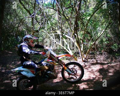 Geländegängige Enduro-Motorradfahrer fahren mit einem KTM-Dirt-Bike durch Waldwege und schlammiges Gelände in Jeffreys Bay. Südafrika Stockfoto