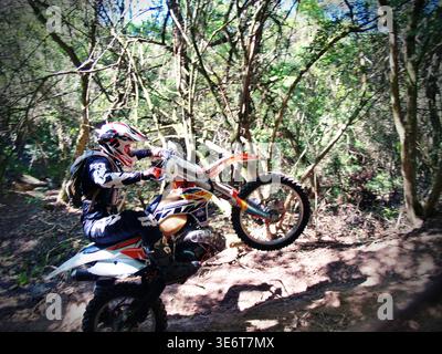Geländegängige Enduro-Motorradfahrer fahren mit einem KTM-Dirt-Bike durch Waldwege und schlammiges Gelände in Jeffreys Bay. Südafrika Stockfoto