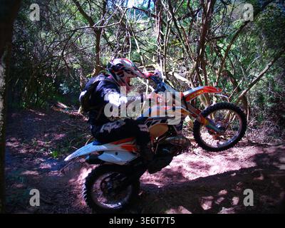 Geländegängige Enduro-Motorradfahrer fahren mit einem KTM-Dirt-Bike durch Waldwege und schlammiges Gelände in Jeffreys Bay. Südafrika Stockfoto