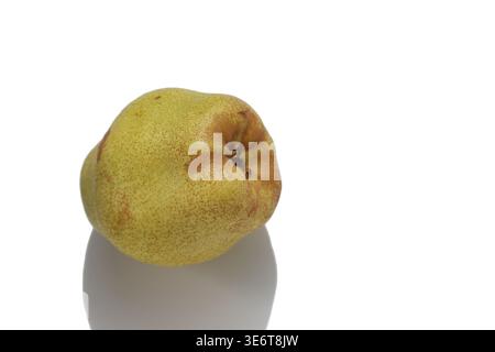 Gelbe Birne isoliert auf weißem Hintergrund Stockfoto