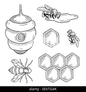 Handgezeichnete grafische Sammlung von Waben, Bienen und Bienenstöcken isoliert auf weißem Hintergrund für Produktdesign oder Verpackung Stock Vektor