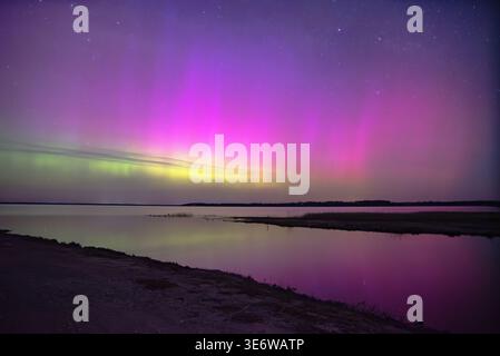 Farbenfrohe Nordlichter mit leuchtenden violetten und grünen Tönen tanzen über einem sternenbesetzten Nachthimmel über einem ruhigen Seehorizont. Stockfoto