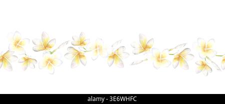 Aquarellflumerieblume nahtlose Grenze isoliert auf weißem Hintergrund. Zartes tropisches Blumenmuster in sanften Farben. Perfekt für Hochzeiten Stockfoto